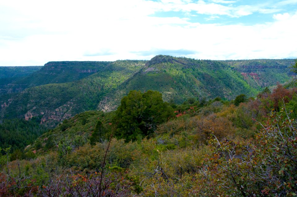 Kelsey Trail No. 3