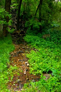 Little L.O. Trail No. 6
