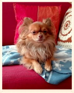 Ma super star,Caramel