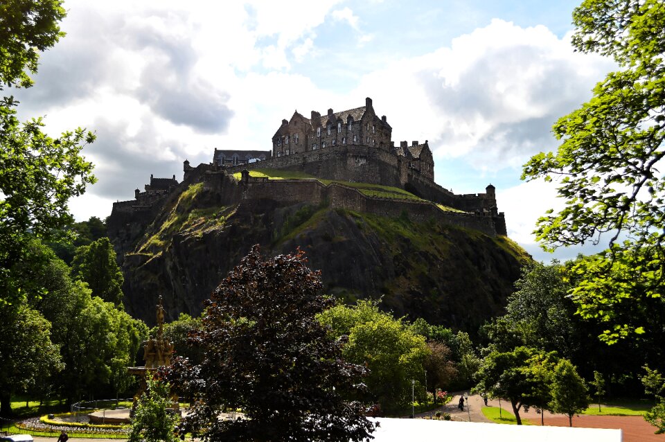 Scotland city trees