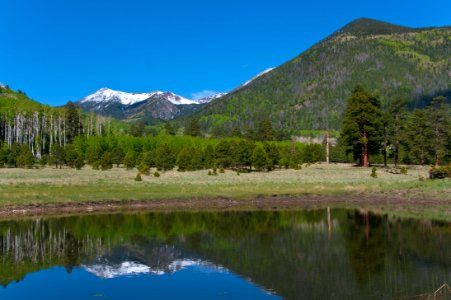 Lockett Meadow photo