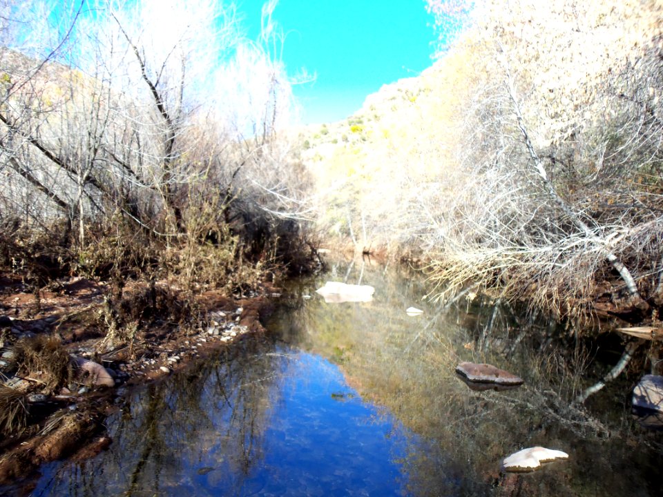 Parsons Trail