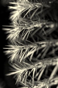 Spoke