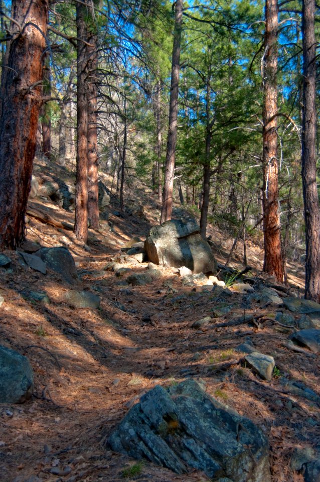 Kelsey Trail