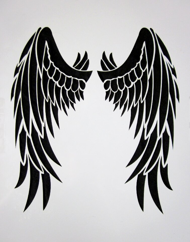 Bird black wings black engel