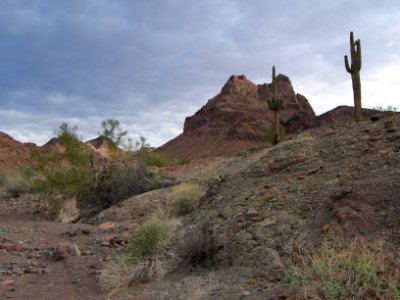 Muggins Mountains