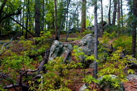 Kelsey Trail No. 3