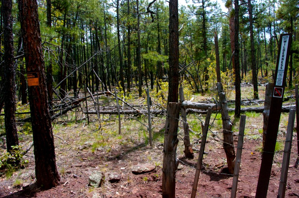 Dorsey Trail No. 7