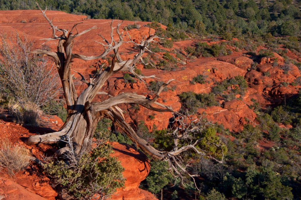 Mitten Ridge Trail