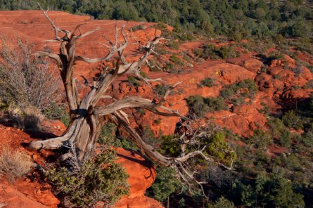 Mitten Ridge Trail