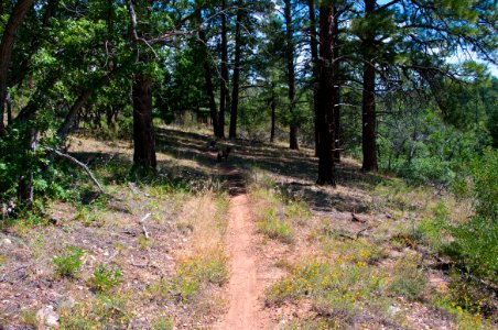 Rainbow Rim Trail