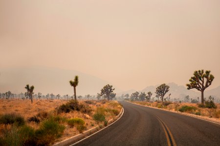 Park Boulevard and Ryan Mountain obscured by wildfire smoke photo