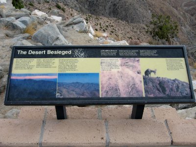 Joshua Tree Wayside circa early 2000s -The Desert Beseiged
