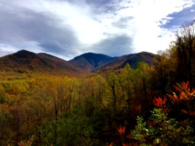 Balsam Point