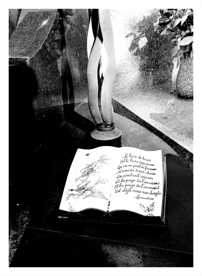 Le livre de la VIE