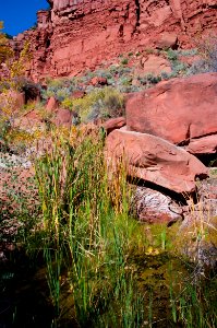 Paria River (side canyon)