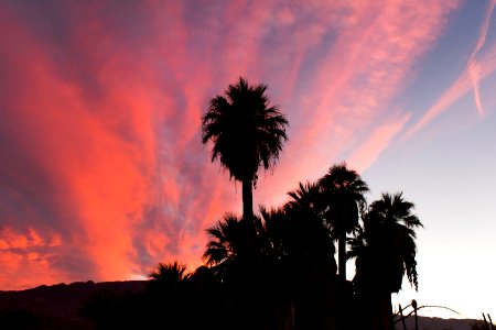 Sunset at Oasis of Mara, Twentynine Palms photo