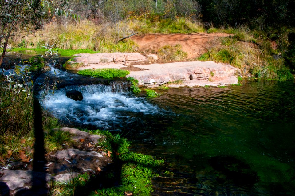Fossil Springs Wilderness: Springs Area