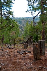 Camp at South Pocket