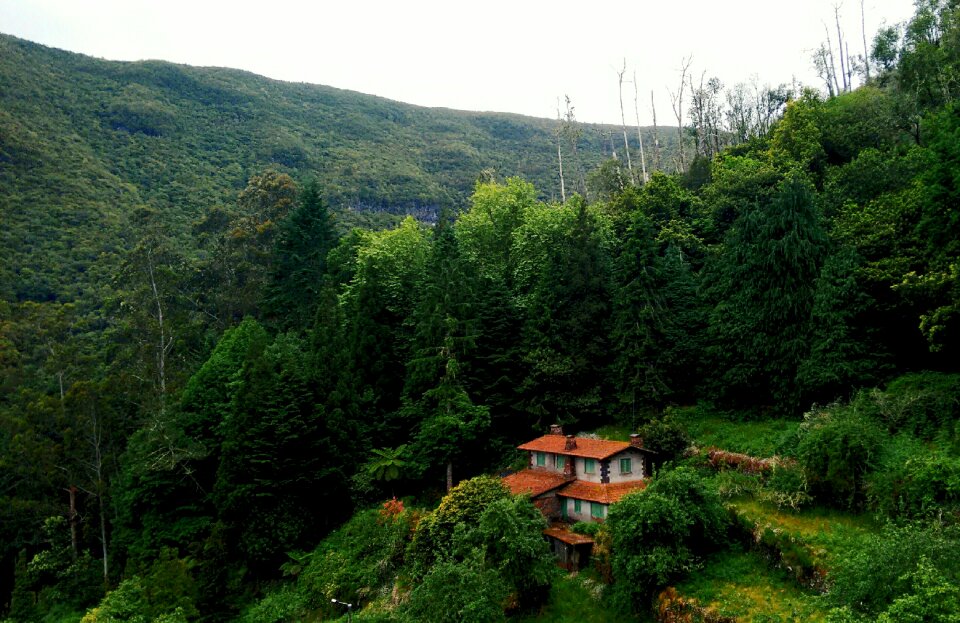Lonely residential architecture