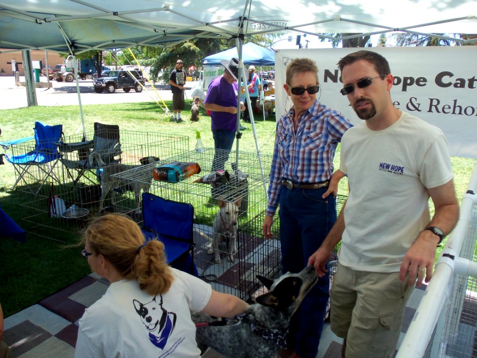 Pets in the Pines