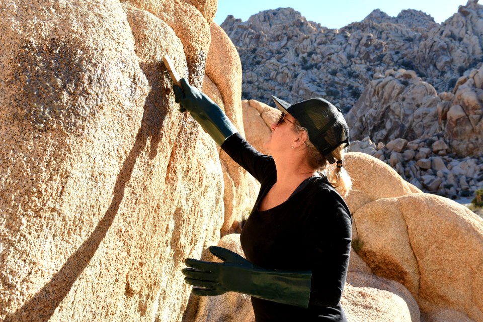 Graffiti Removal Day with Volunteers