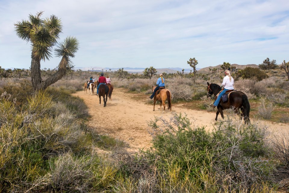Horseback riding on the California Riding and Hiking Trail; Black Rock Campground