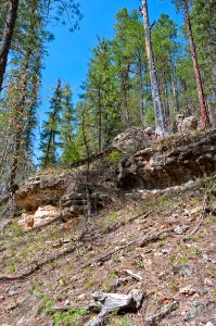 West Fork of Oak Creek