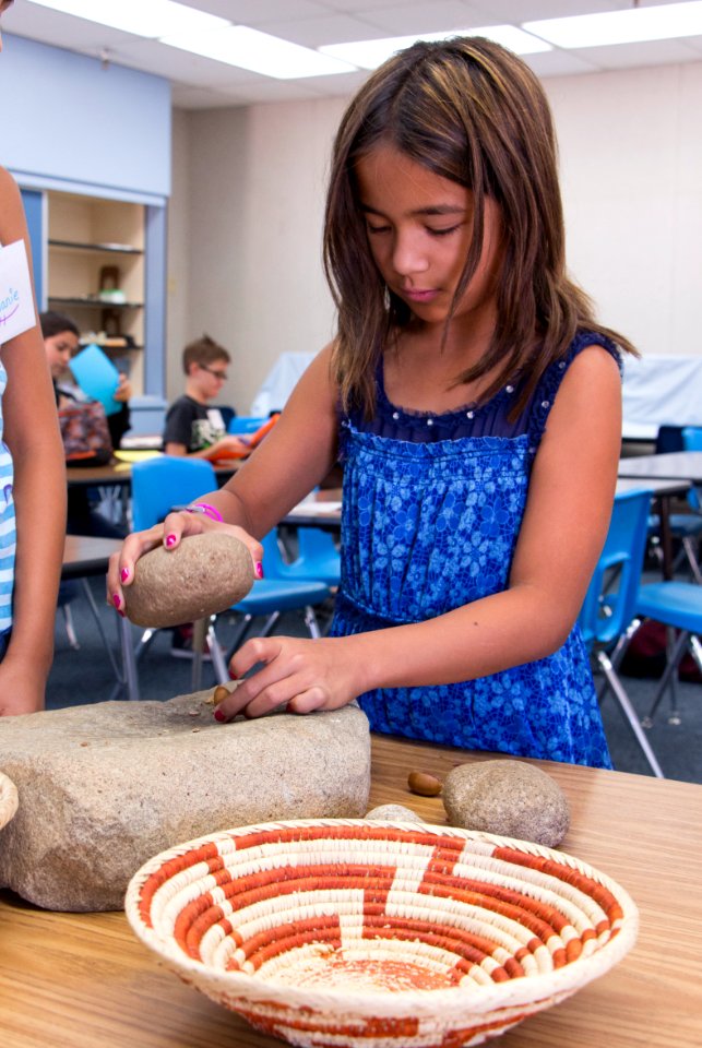 GATE (Gifted and Talented Education) students grind acorns