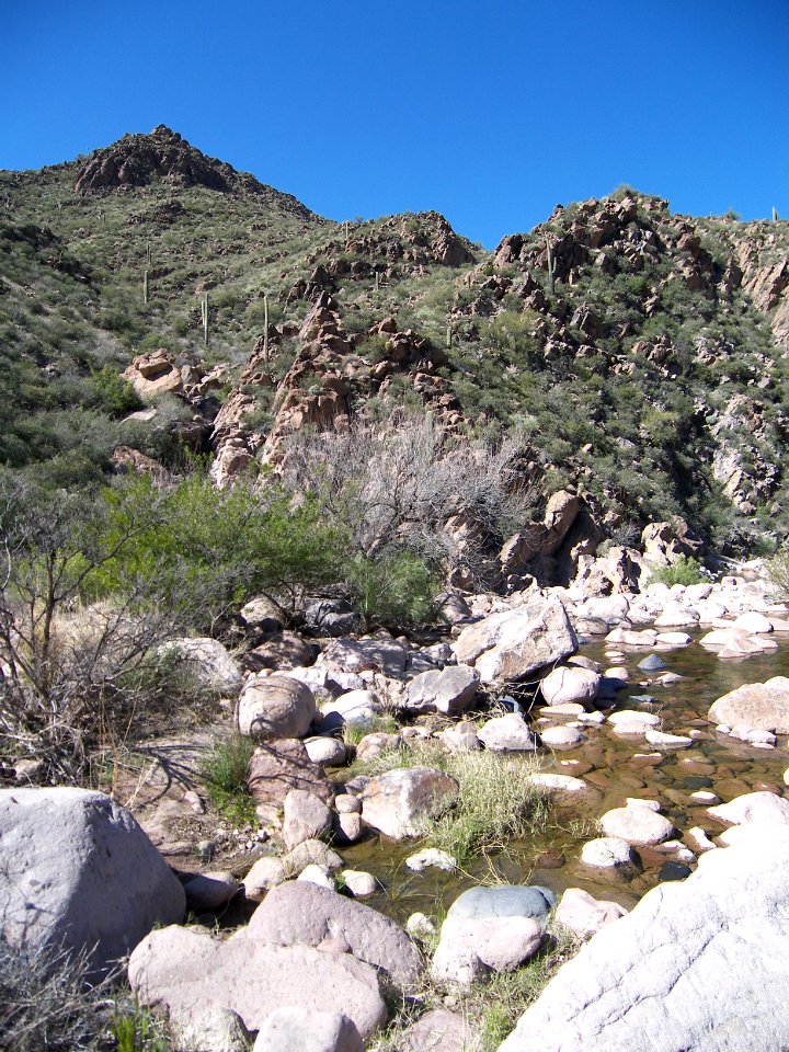 Superstitions: Boulder Canyon