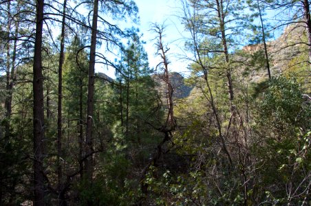 Loy Canyon Trail