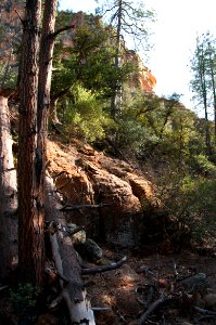Loy Canyon Trail