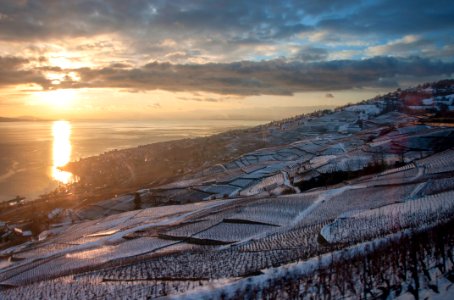 Lavaux