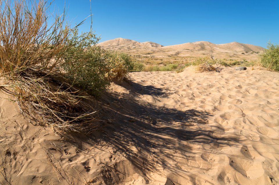 Mojave National Preserve