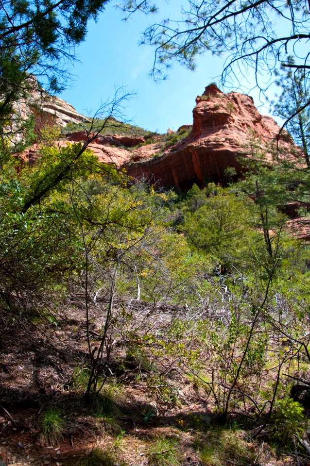 Secret Canyon Trail