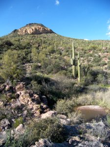Superstition Wilderness