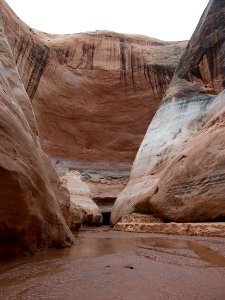Lake Powell - Davis Gulch 2005