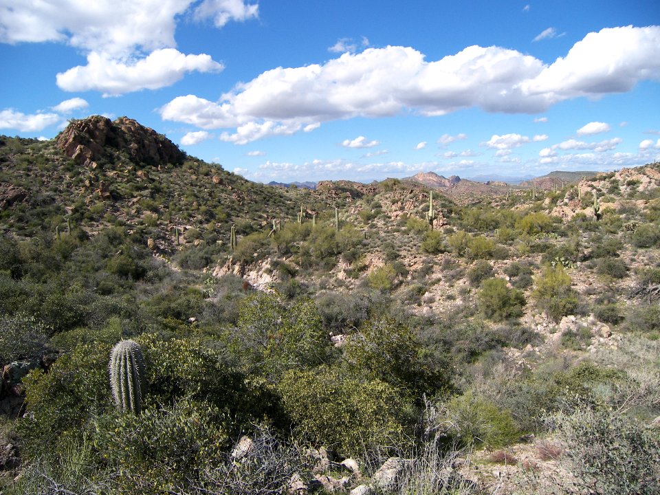 Superstition Wilderness