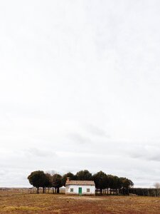 Trees grass fence photo