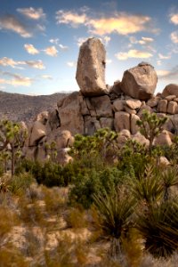 Rocking Climbing at Ryan Ranch
