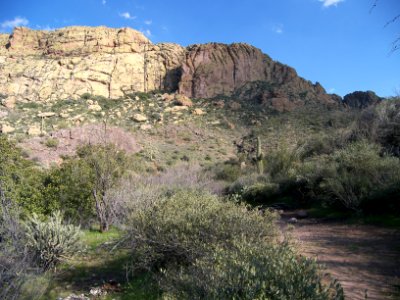 Superstition Wilderness