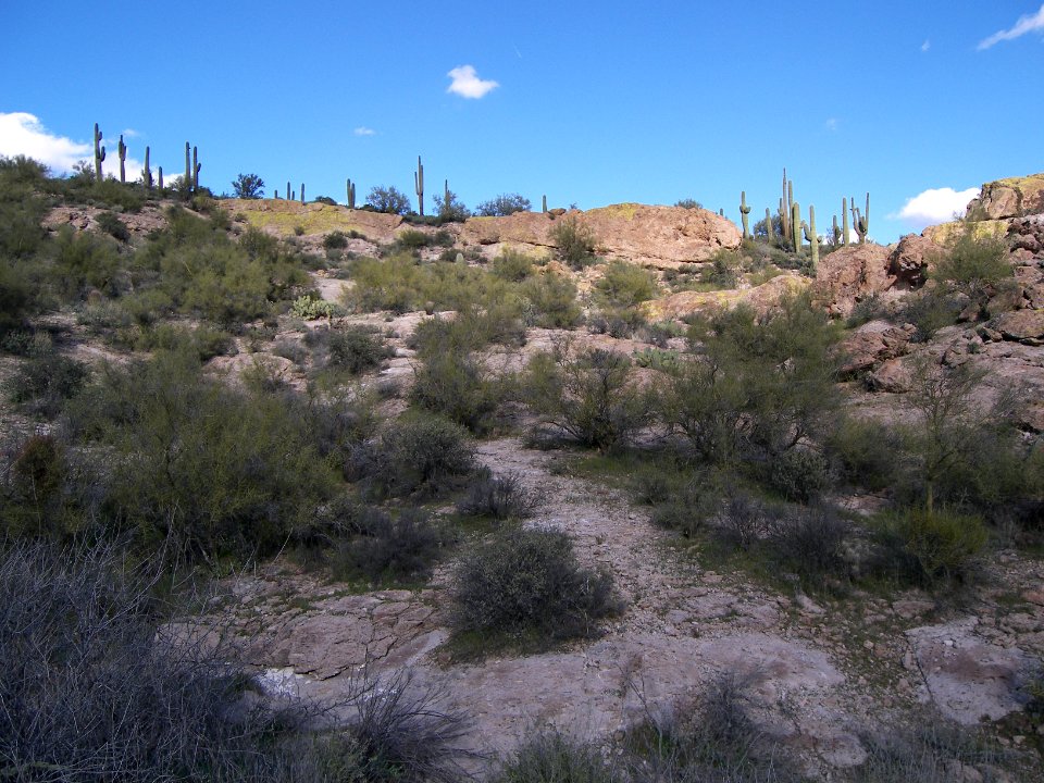 Superstition Wilderness: Dutchmans Trail
