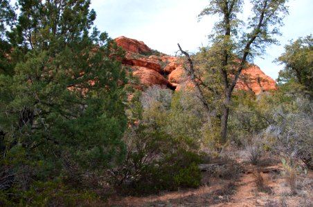 Loy Canyon Trail