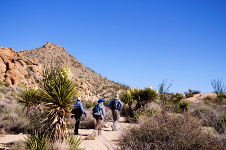 Hikers along a trail photo