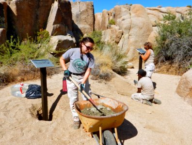 Youth Conservation Corps (YCC) interns doing trail construction on the Discover Trail