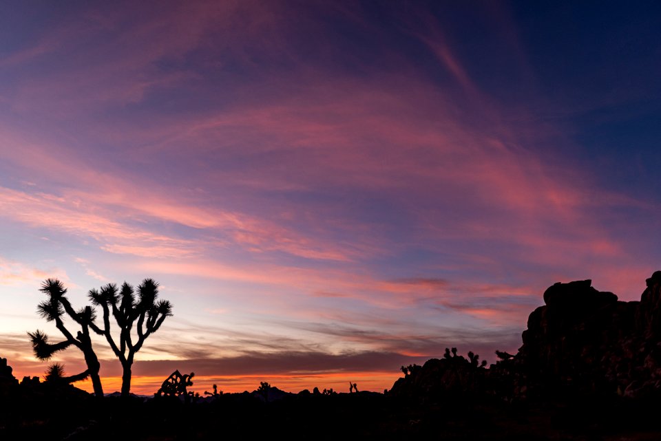 Sunsets in Joshua Tree
