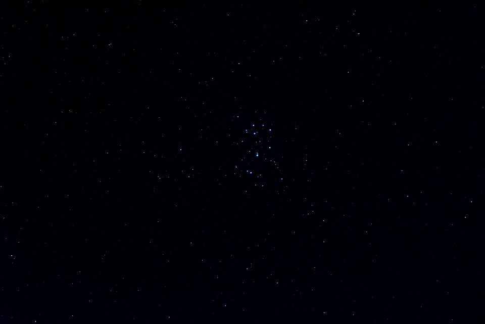 Pleiades over Joshua Tree