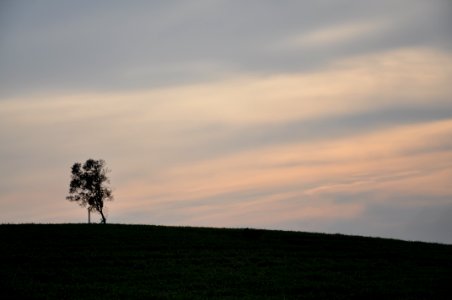 DSC 0476