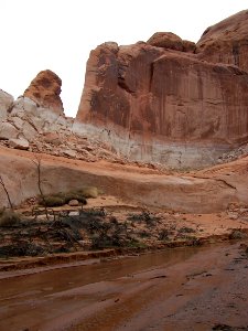 Lake Powell - Davis Gulch 2005