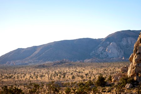 View overlooking Ryan Mountain from the Hidden Valley Trail